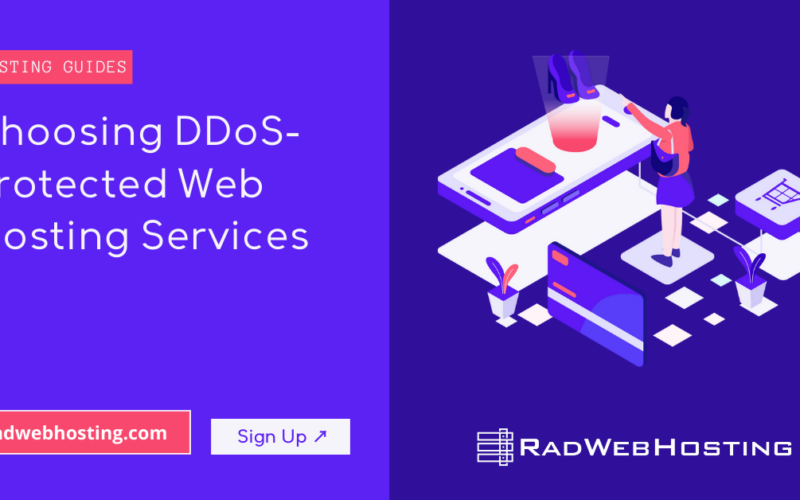 Choosing Ddos-Protected Web Hosting Services Image 7 Choosing ddos-protected web hosting services